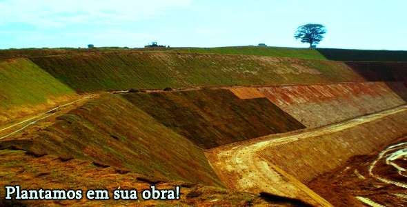 Comprar grama esmeralda preço Monte Alegre de Minas MG