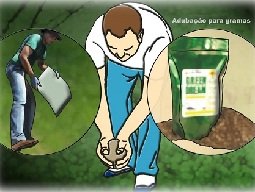 Adubação de Grama
